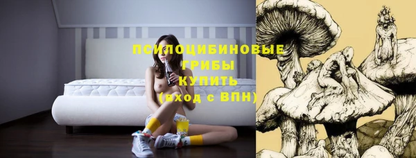 марки lsd Алексеевка