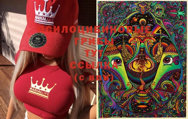 марки lsd Алексеевка