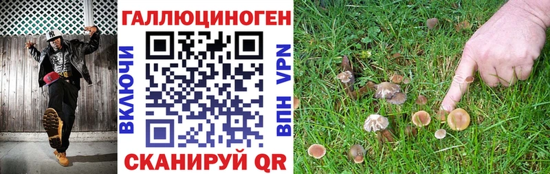 Псилоцибиновые грибы мицелий  Алушта 